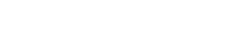 Payroll Professionals Inc Logo Reversed 2